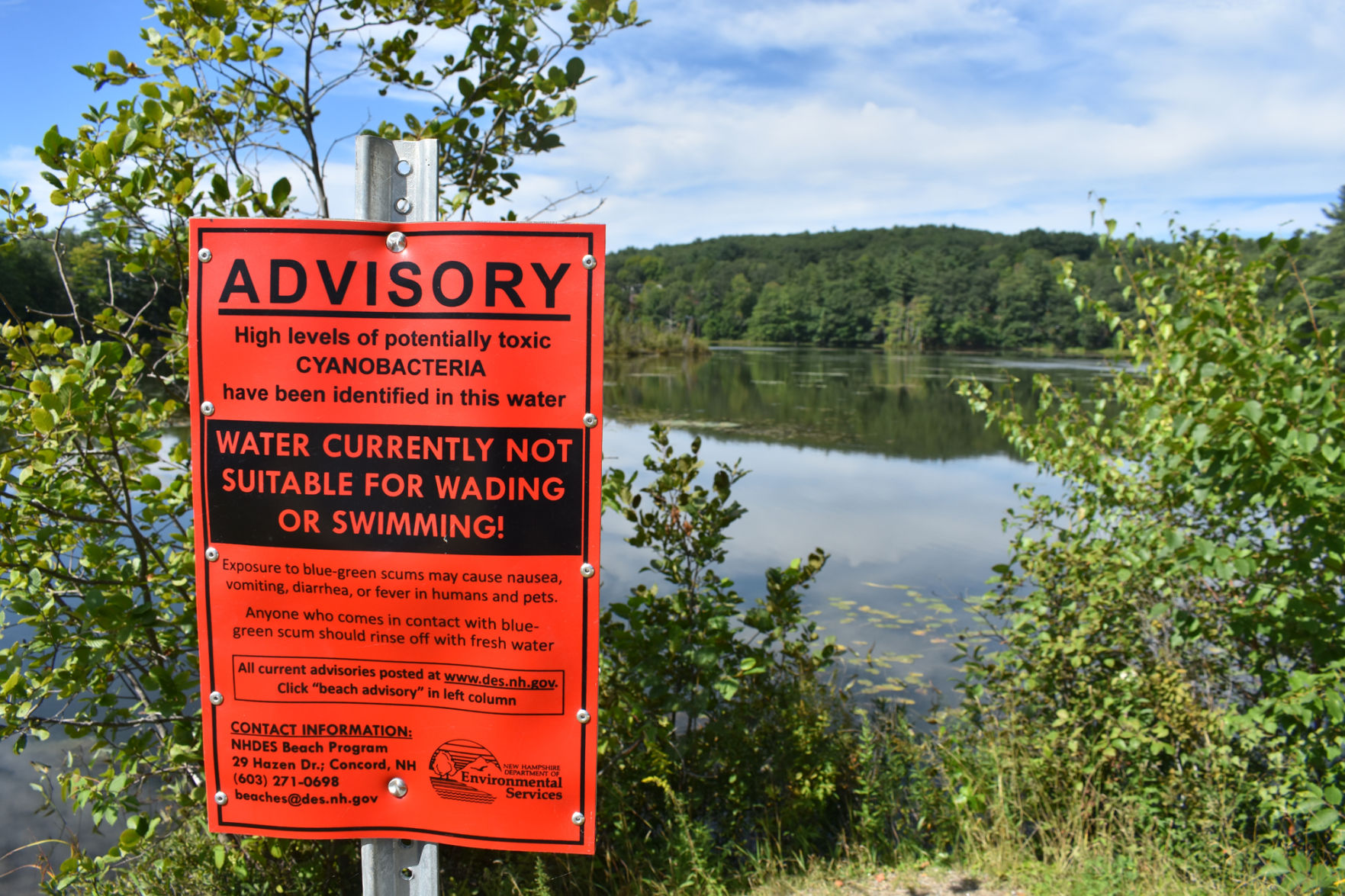 Phosphorous and fish – Hatchery seen as threat to Winnipesaukee